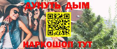 PSILOCYBIN Будённовск