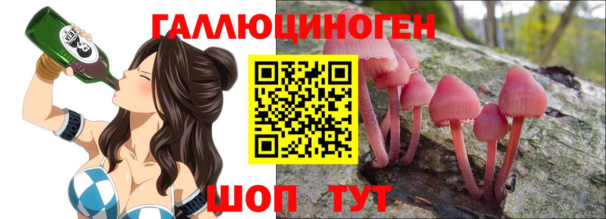Галлюциногенные грибы GOLDEN TEACHER Осинники