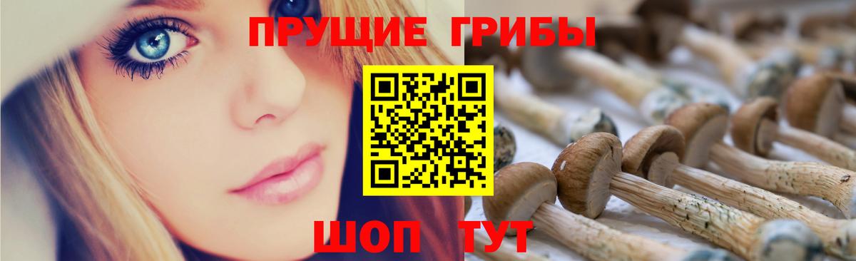 Галлюциногенные грибы Psilocybine cubensis  Галлюциногенные грибы мухоморы  Вход с VPN  Осинники 